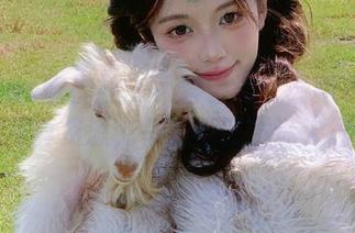 MiiTao蜜桃社 – 不容错过！最新木奈奈长腿写真资源，每张都散发迷人气息！