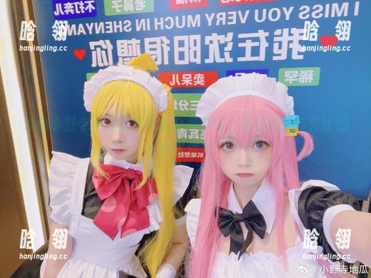 发现小野寺地瓜空姐写真全集下载，感受她无与伦比的艺术魅力
