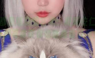 每一张都是精致的艺术：椒妮佐仁的高清礼服写真带你领略高级时尚！