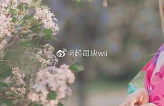 快来下载起起子vvvv“镜中痴姬”超美写真套图，绝对不容错过！